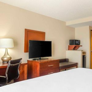 King Suite Mobility accessible