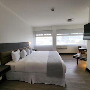 Executive King Suite