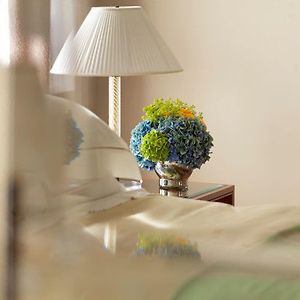 Premium Twin Room