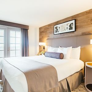 One-Bedroom King Suite