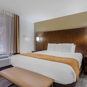 Queen Room Mobility accessible