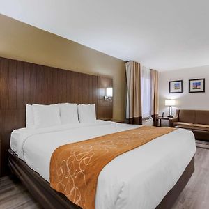 King Suite Mobility accessible