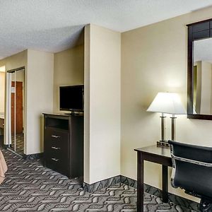 One-Bedroom King Suite