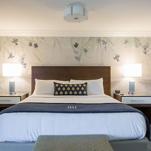 Tradition King Room