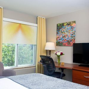 Petite Queen Room