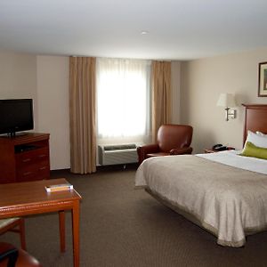 Studio Suite