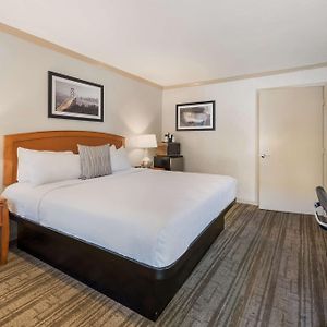 King Room Mobility accessible