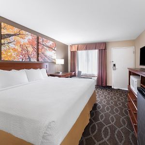 King Room Mobility accessible