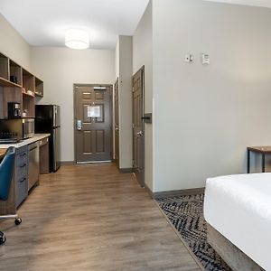 Studio Suite