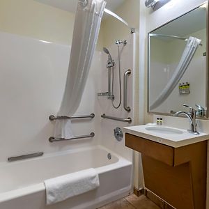 One-Bedroom King Suite