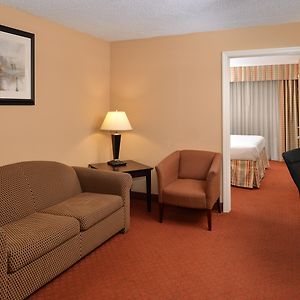 One-Bedroom King Suite