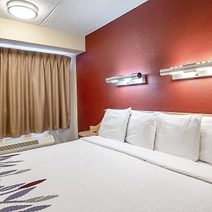Standard King Room Disability Access