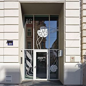 King Studio