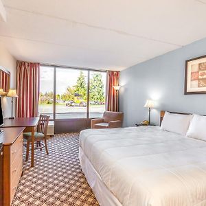 Large King Suite