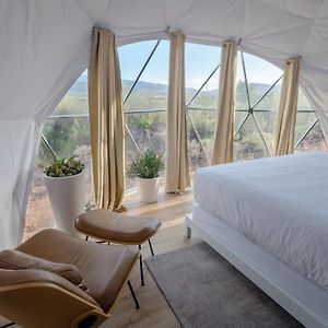 King Tent