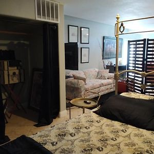 Family Studio