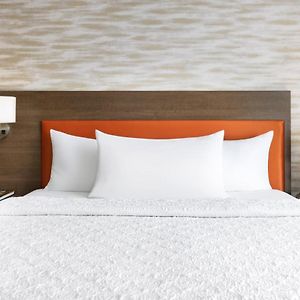 One-Bedroom King Suite