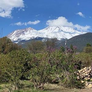 Angel Cottage With A Sauna Or The Cozy With A Jacuzzi Tub, Both Are Studios With A View Of Mount Shasta
