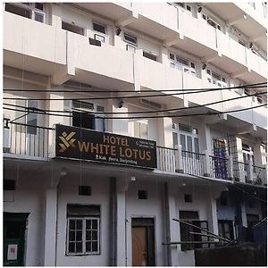 Hotel White Lotus