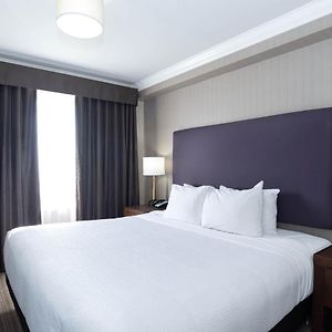 Standard King Suite