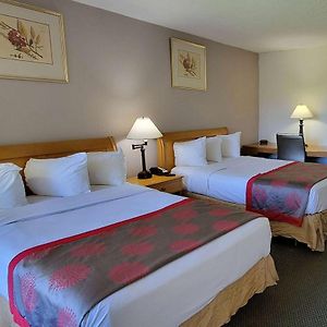 One-Bedroom Room