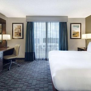 One-Bedroom King Suite