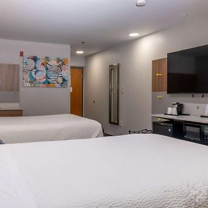 Queen Suite Dog friendly