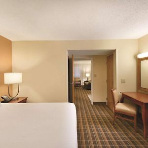 One-Bedroom King Suite