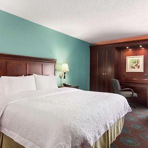Queen Room Mobility accessible