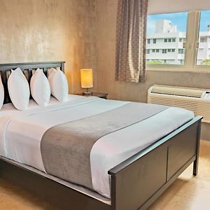 One-Bedroom King Suite