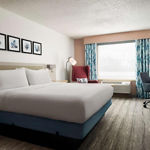 Evolution King Room
