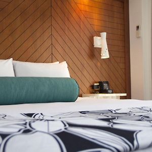Club King Suite