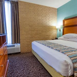 Superior King Suite