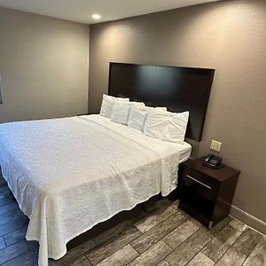 Standard King Room Disability Access