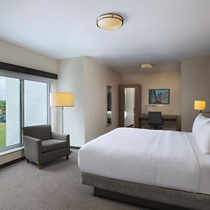 One-Bedroom King Suite