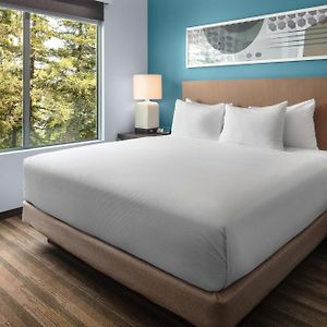 One-Bedroom King Suite