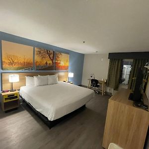 King Room Disability Access