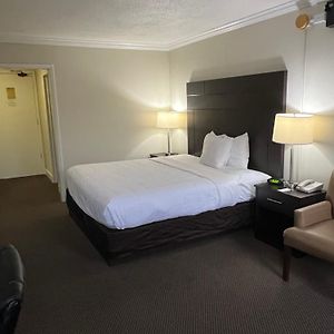 King Room Disability Access
