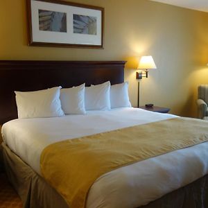 One-Bedroom King Suite