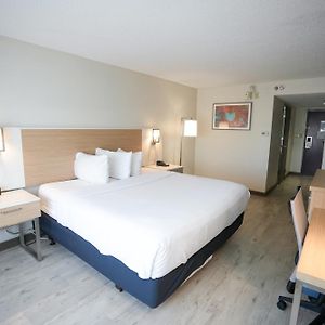 King Room Mobility accessible
