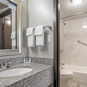 Superior King Suite