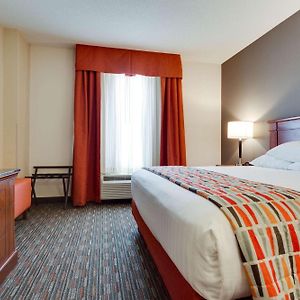 Superior King Suite