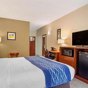 Efficiency Suite