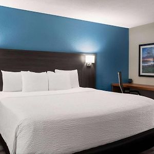 Deluxe One-Bedroom King Suite