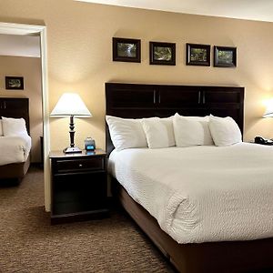 Two Room King Suite