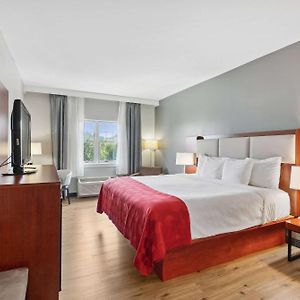 King Room Mobility accessible