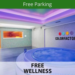 Wellness Single Room