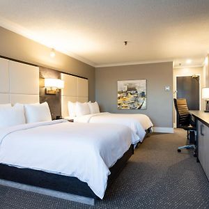 Premium Queen Room