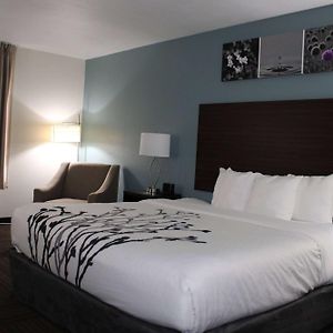 King Room Mobility accessible
