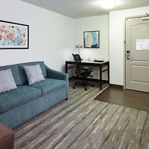 One-Bedroom King Suite